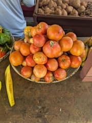 Tomate