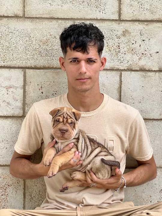 Imperio Canino