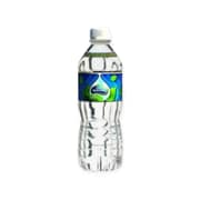 Agua Mineral Natural Ciego Montero (500ml)