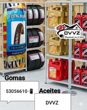 Neumáticos