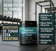 Creatina Monohidratada de 100 servicios