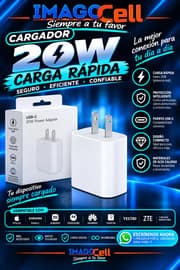Cargador 20W