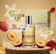 The One DOLCE & GABBANA