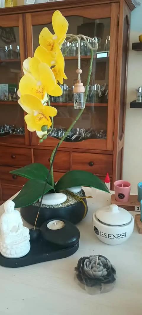 ESENSSI Perfumería
