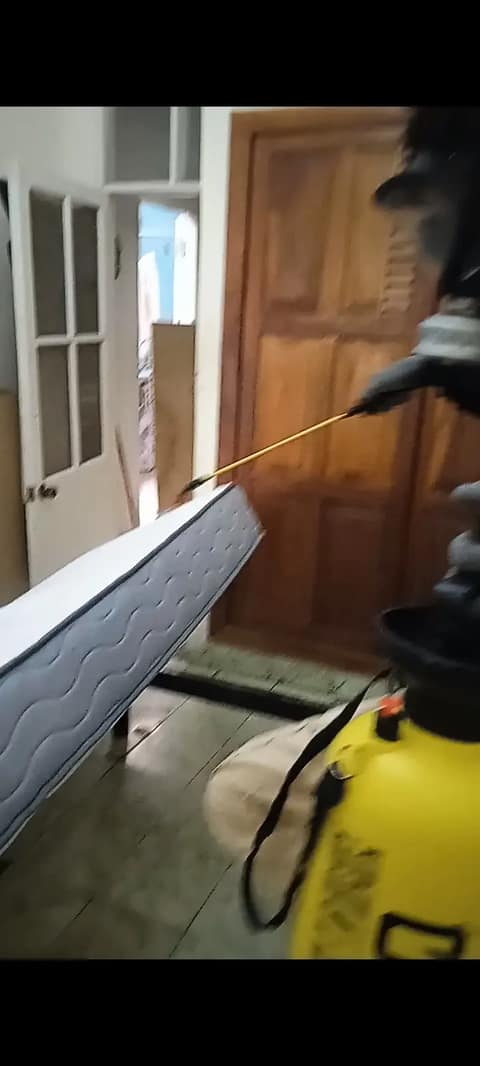 PLAGAS STRIKE