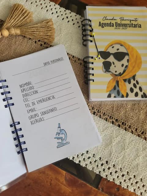 Mi'MO Estudio
