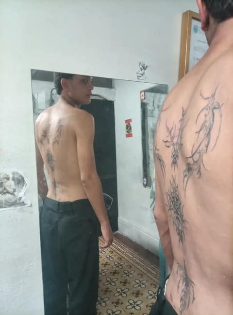 Barbaro's tattoo