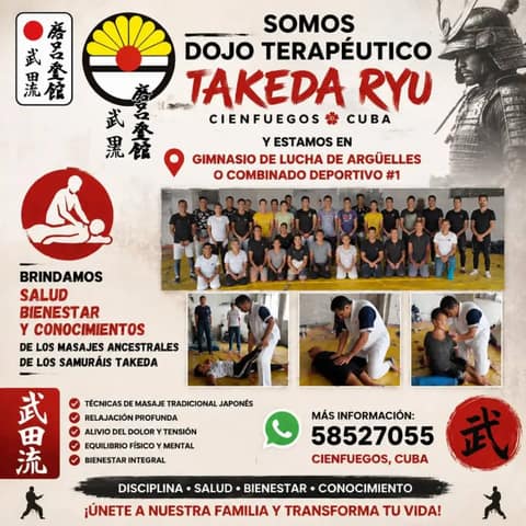 Dojo Terapéutico Takeda Ryu
