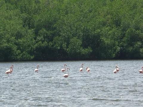 Laguna Guanaroca