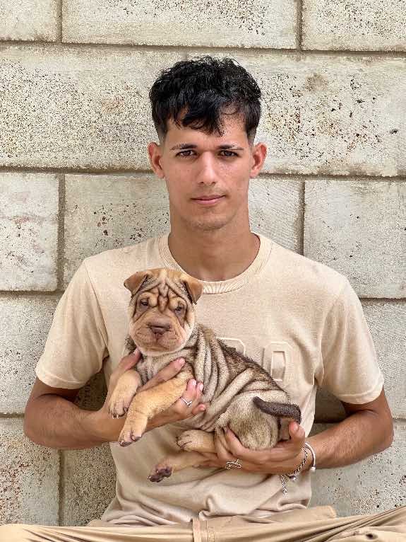 Imperio Canino