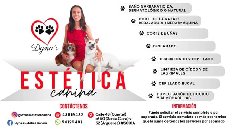 Dyna's Estética Canina