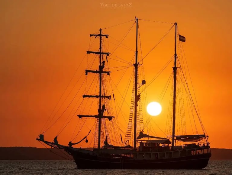 Paseo en bote por la Bahía